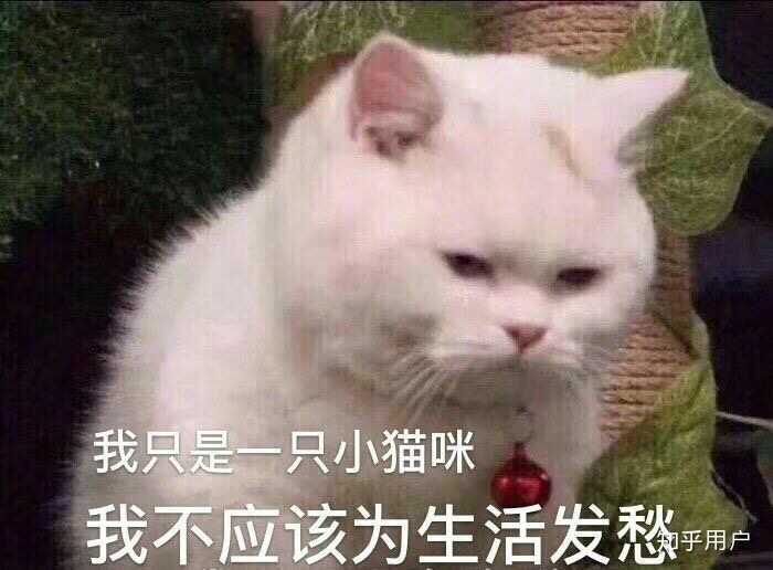 离当场去世就只差一块木板.