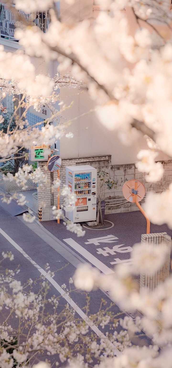 有哪些以日本的街道或者风景为背景的手机壁纸?