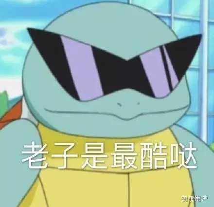 为什么《精灵宝可梦》的御三家里,只有杰尼龟被大量做成表情包?