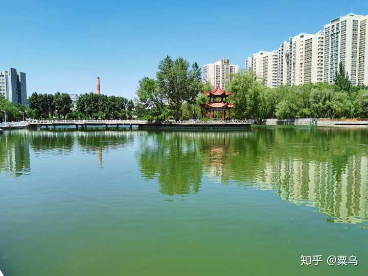 如何评价新疆大学的数学与应用数学专业?