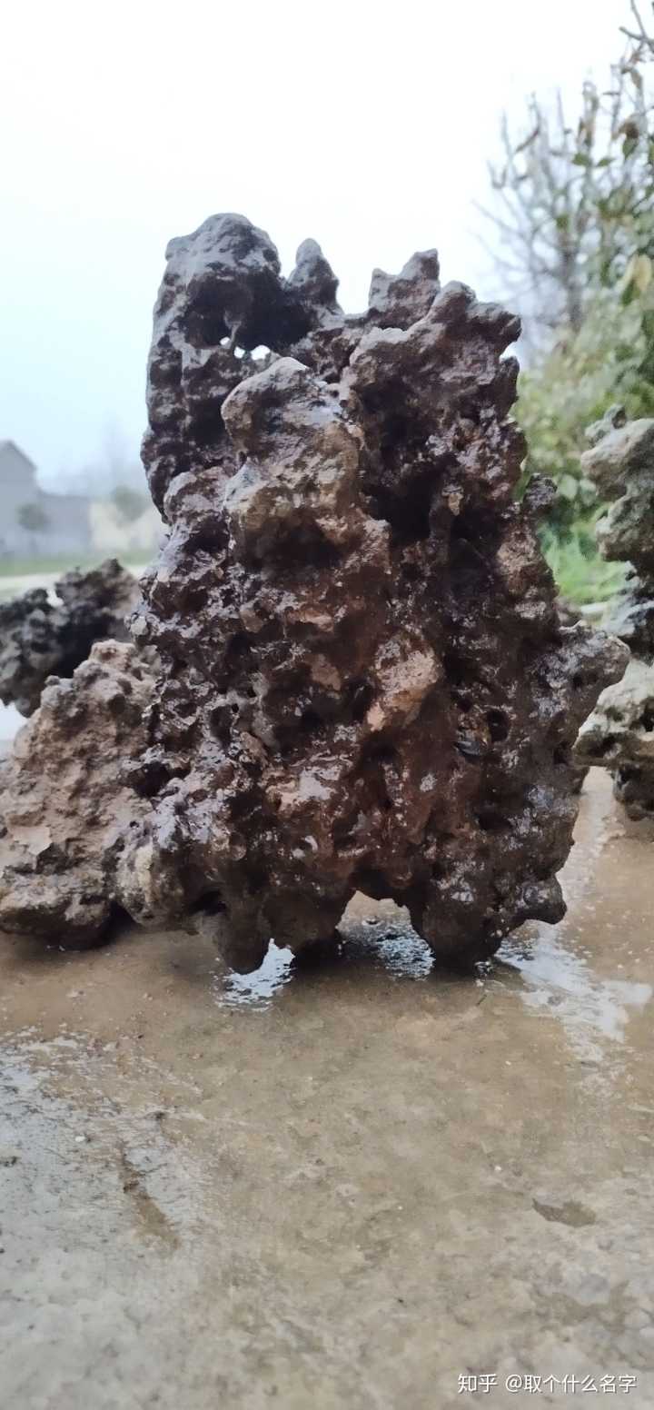 从河道里出现的像石头一样的奇形怪状沙子块叫什么?