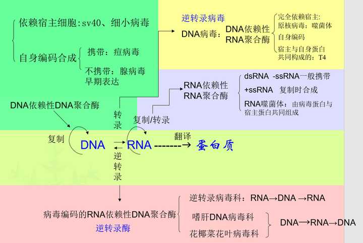 朊病毒的发现会不会成为对中心法则进行补充的契机?