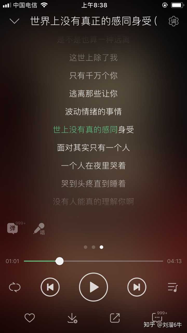 如何评价《世界上没有真正的感同身受》这首歌?