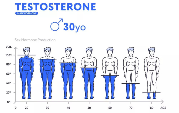 男性在不同年龄的睾酮分泌量