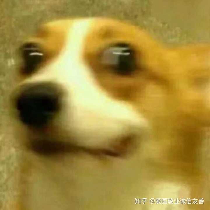 沙雕同学的沙雕头像