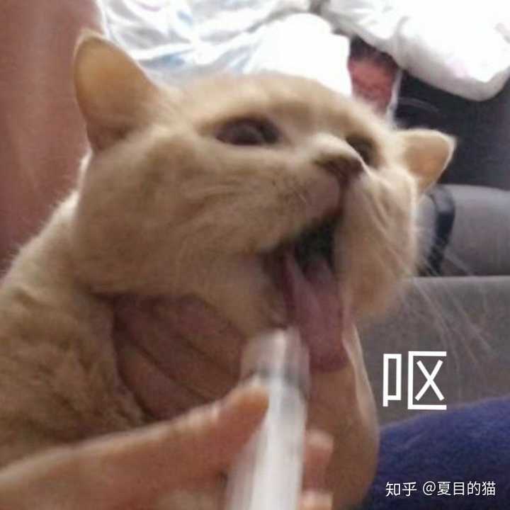 首先,伸出两只手,最后使劲把眼珠子抠出来