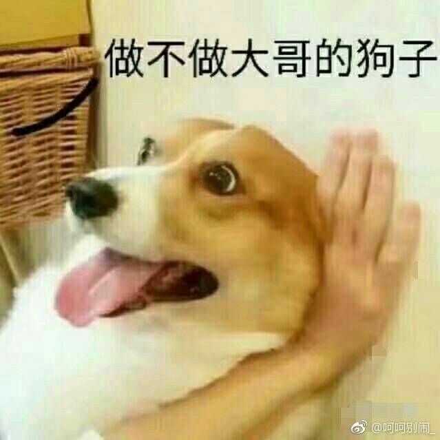 有哪些可爱又不失搞笑的头像?