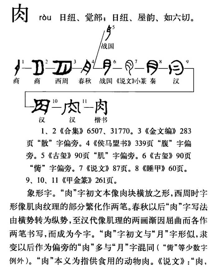 由於「月「肉」古文字字形相近,以及隶变以后方折化的「月/肉」又和