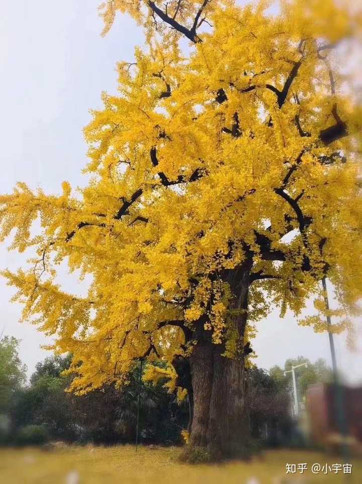 在凤台一中读书是一种怎样的体验?