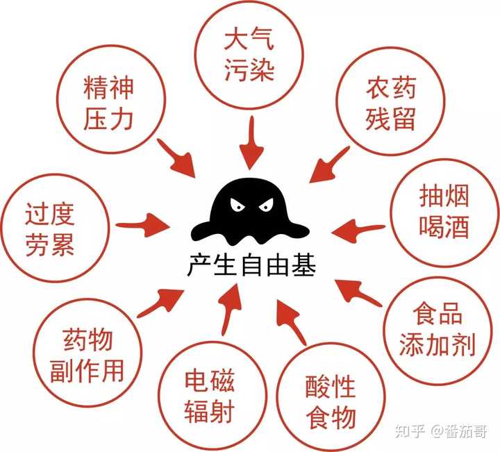 其中除了烟碱,尼古丁还有很大一部分就是各种攻击性的自由基,这些自由