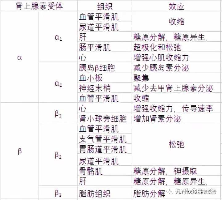 肾上腺素属于体液调节,速度较慢,但为什么人在受到外界刺激时会瞬间