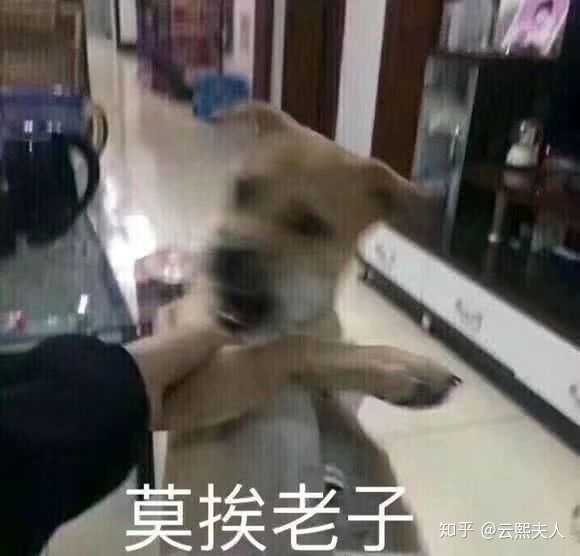 首先我现在没有对象,散了吧