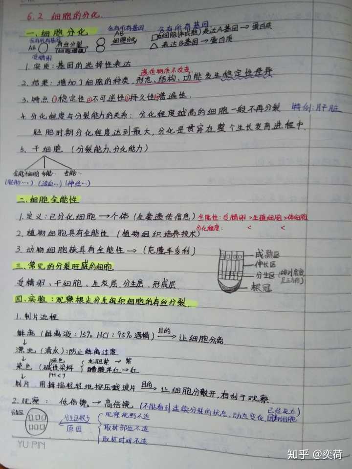 高一生物必修一第六章第二节笔记可以告诉我吗?我很着急!