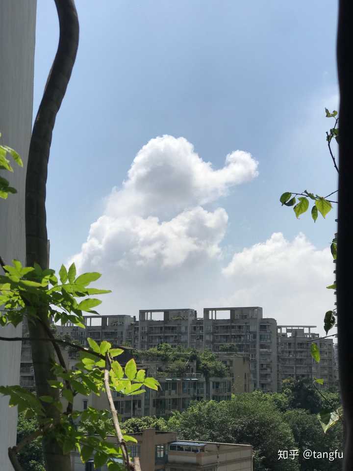 你的手机里有哪些自己拍的真实的风景照?