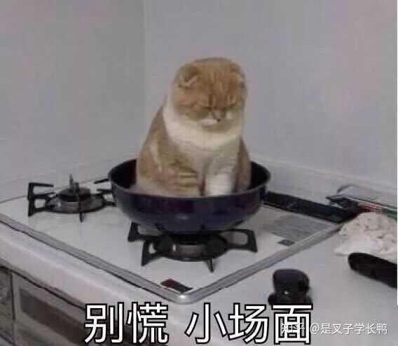 在日本留学是种怎样的体验?