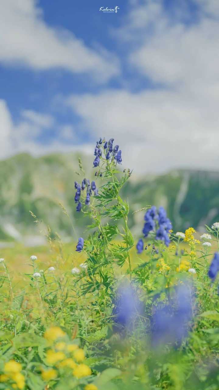 最能体现夏天的照片?