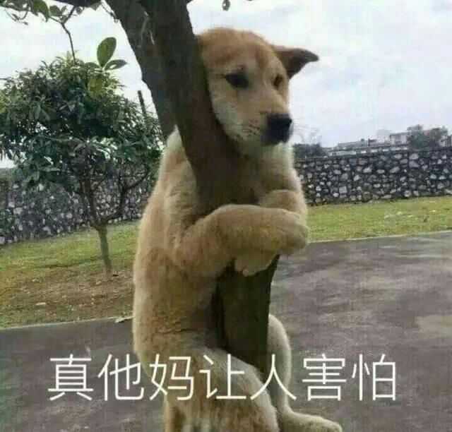十指连心有多痛?