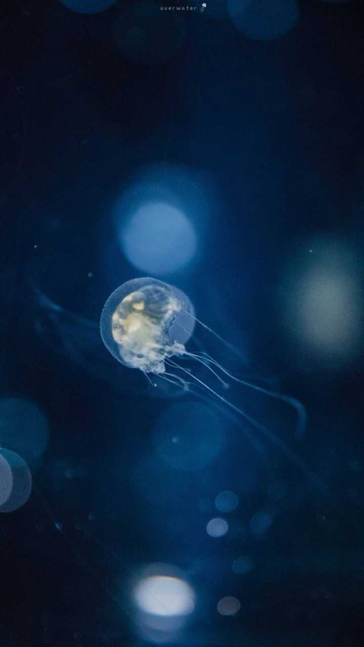 有没有暗一点的壁纸?
