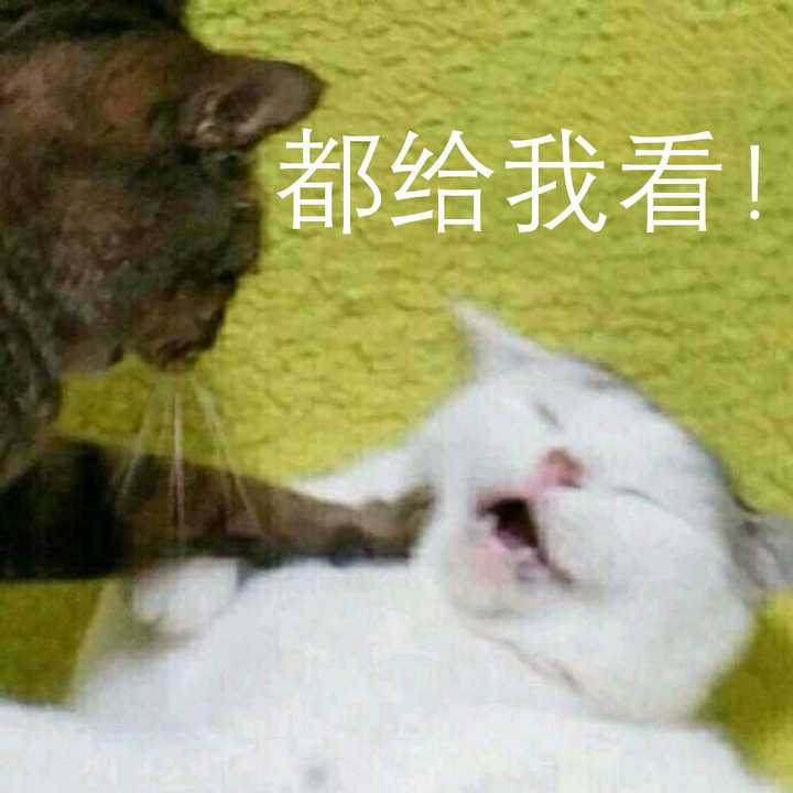 嗯,我也觉得渤哥宣传太努力了,他就应该发张下图 然后配上文字:8月10