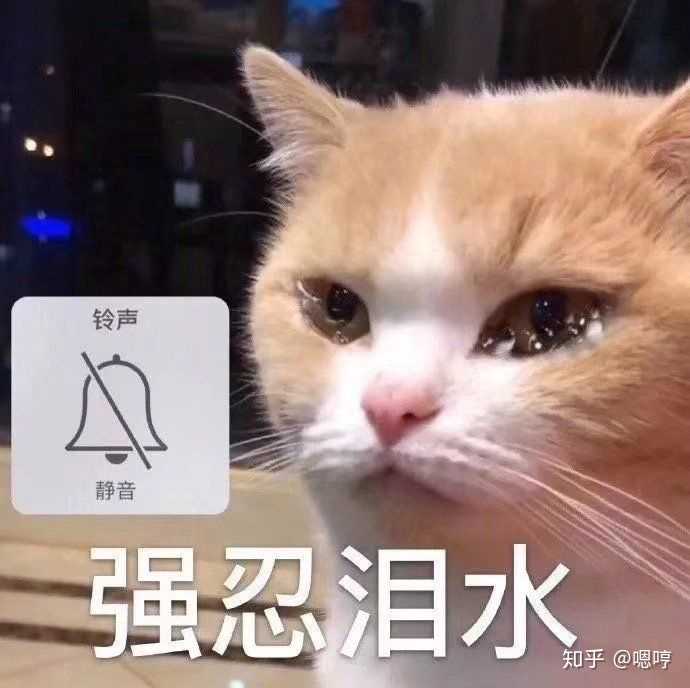 不行朕受不了这委屈必须一吐为快