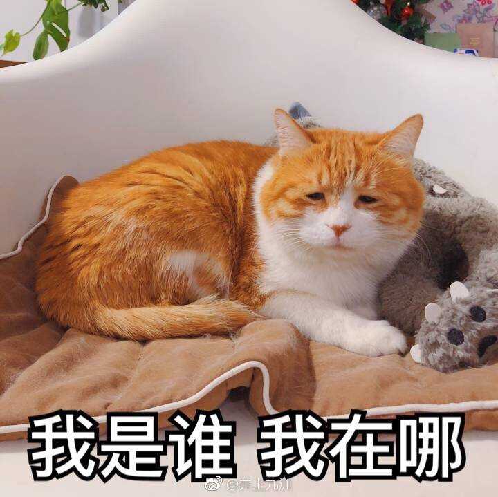 真的一言难尽