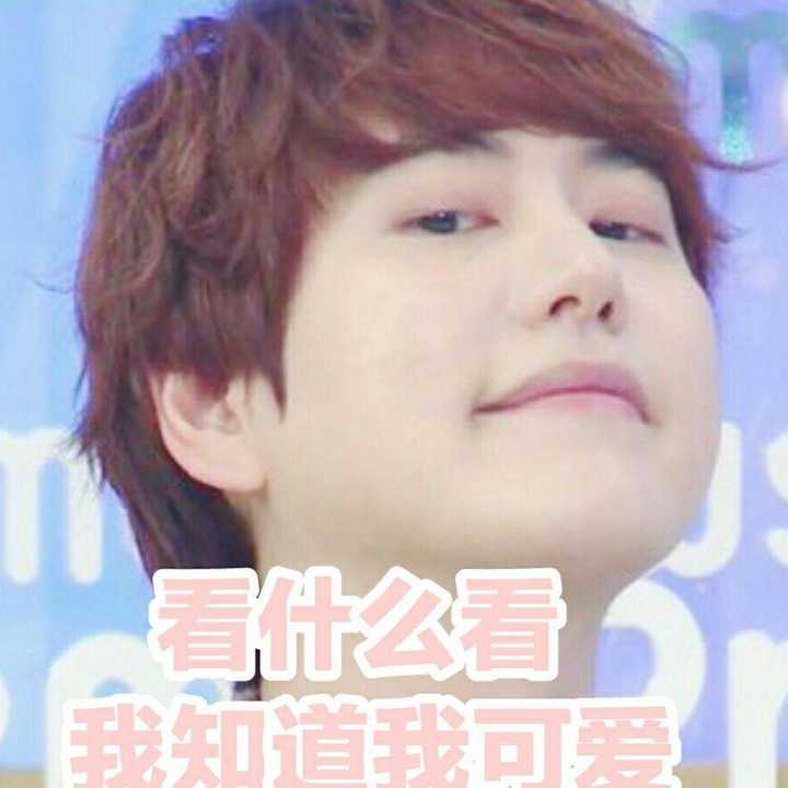 superjunior有哪些有趣的表情包?