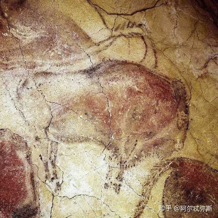 《野牛图》局部,西班牙阿尔塔米拉洞窟,约公元前20000～10000年间.