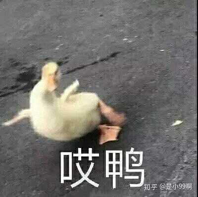 有没有什么又丑又沙雕的头像?