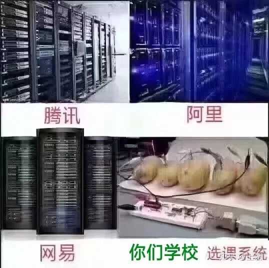 选不到课的学生内心os:选课系统服务器是用土豆发电的吗?