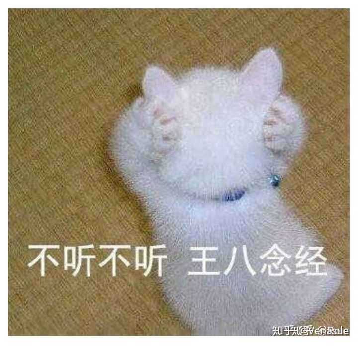不喜勿喷呀
