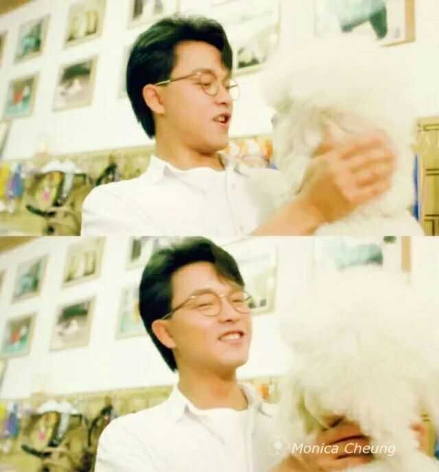 张国荣为什么那么可爱?