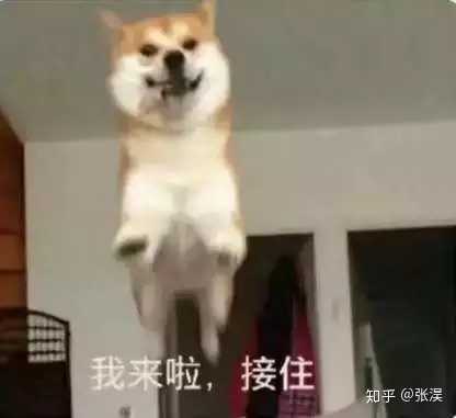 有什么笑到头掉的表情包?