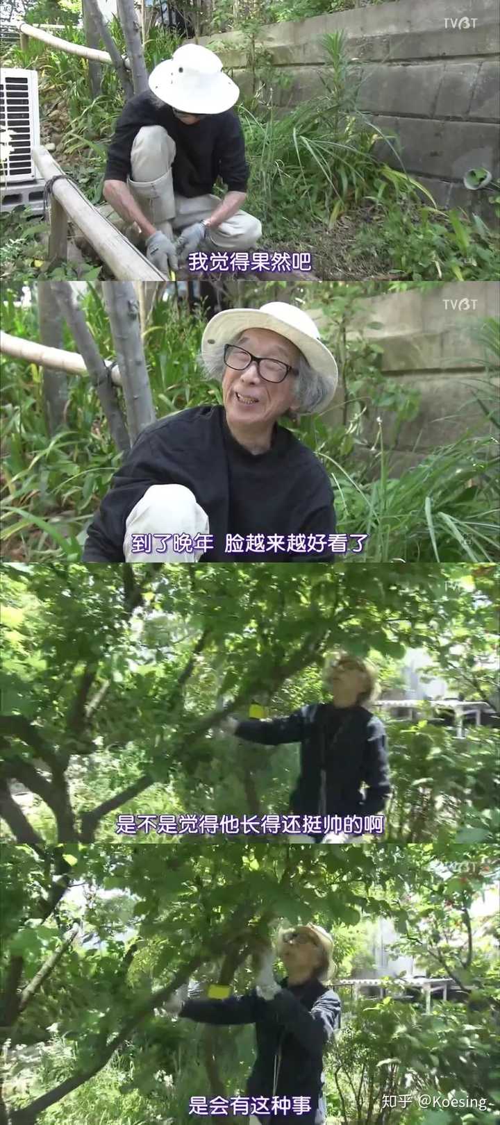 如何评价电影「人生果实 人生フルーツ?