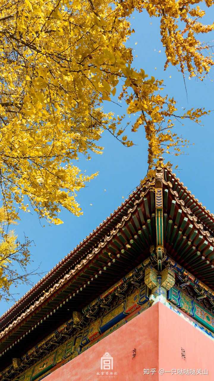 有生之年住故宫…的墙角