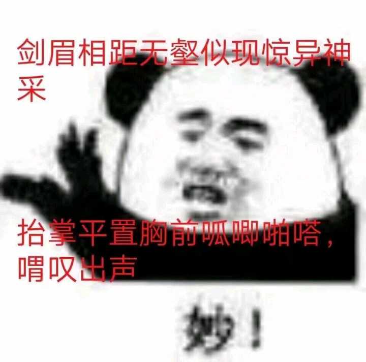 电脑前的熊猫头 2.根骨清奇熊猫头 3.小熊猫摘下耳机系列 4.