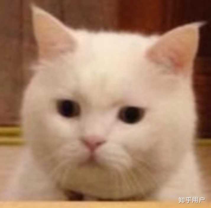 大学室友有多嘴碎?