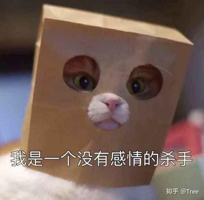 有没有猫咪戴着纸袋头套的头像哇?是一只橘猫,只露出了眼睛鼻子嘴巴.