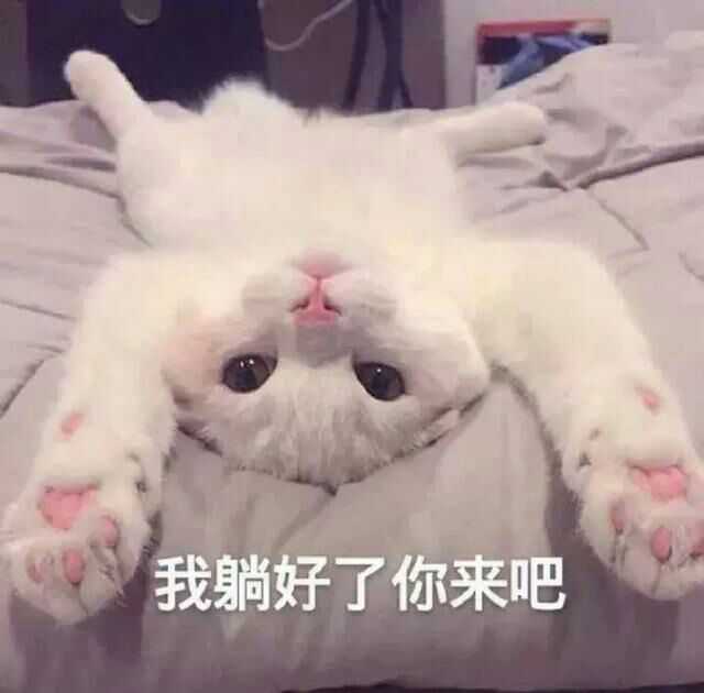 手机里有哪些搞笑 欠揍 可爱的表情包 ?