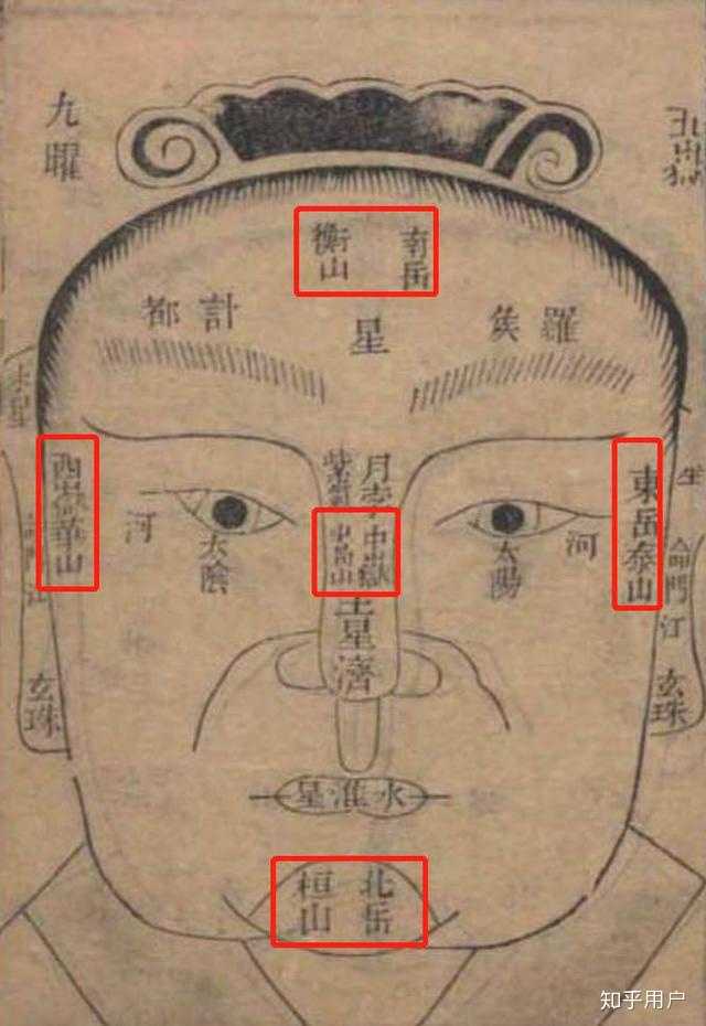 《柳庄相法》,红色方框已标识出天庭,地阁,日角,月角,辅骨的具体位置