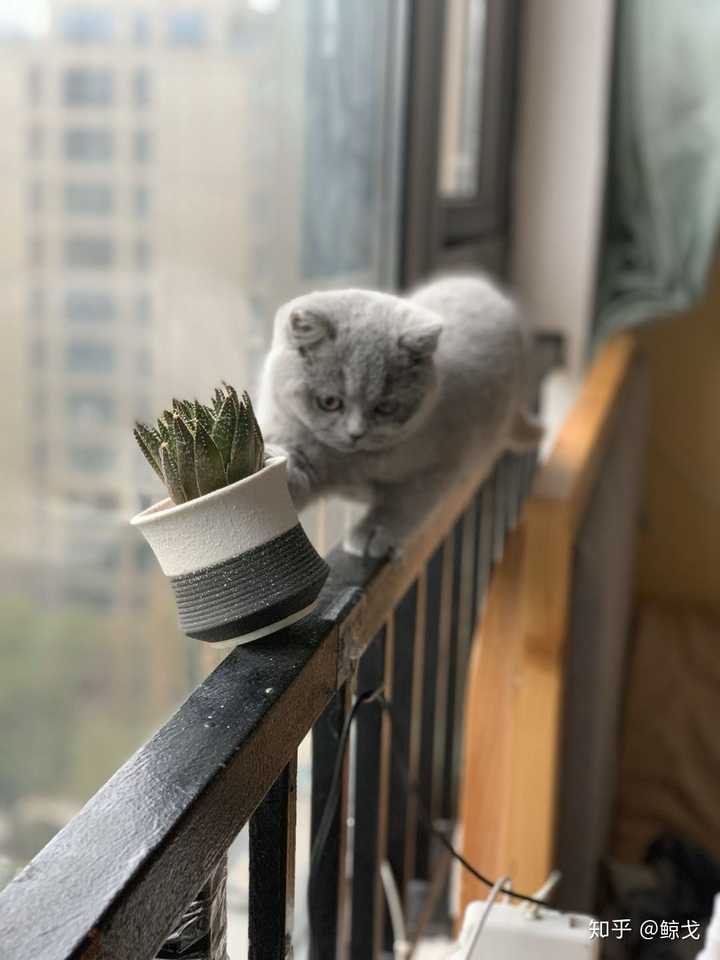 我叫静静