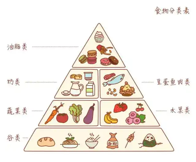 金字塔结构占比摄入 第二,了解一份食物(80大卡)的三大产能营养素含量