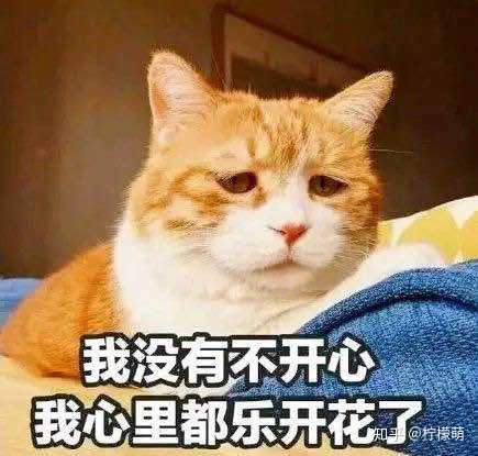 说到这个话题真的是让人一言难尽啊
