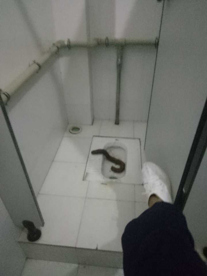 学校食堂的男厕所看到的 这是实拍图 毫无一丝ps 可能没有达到50cm