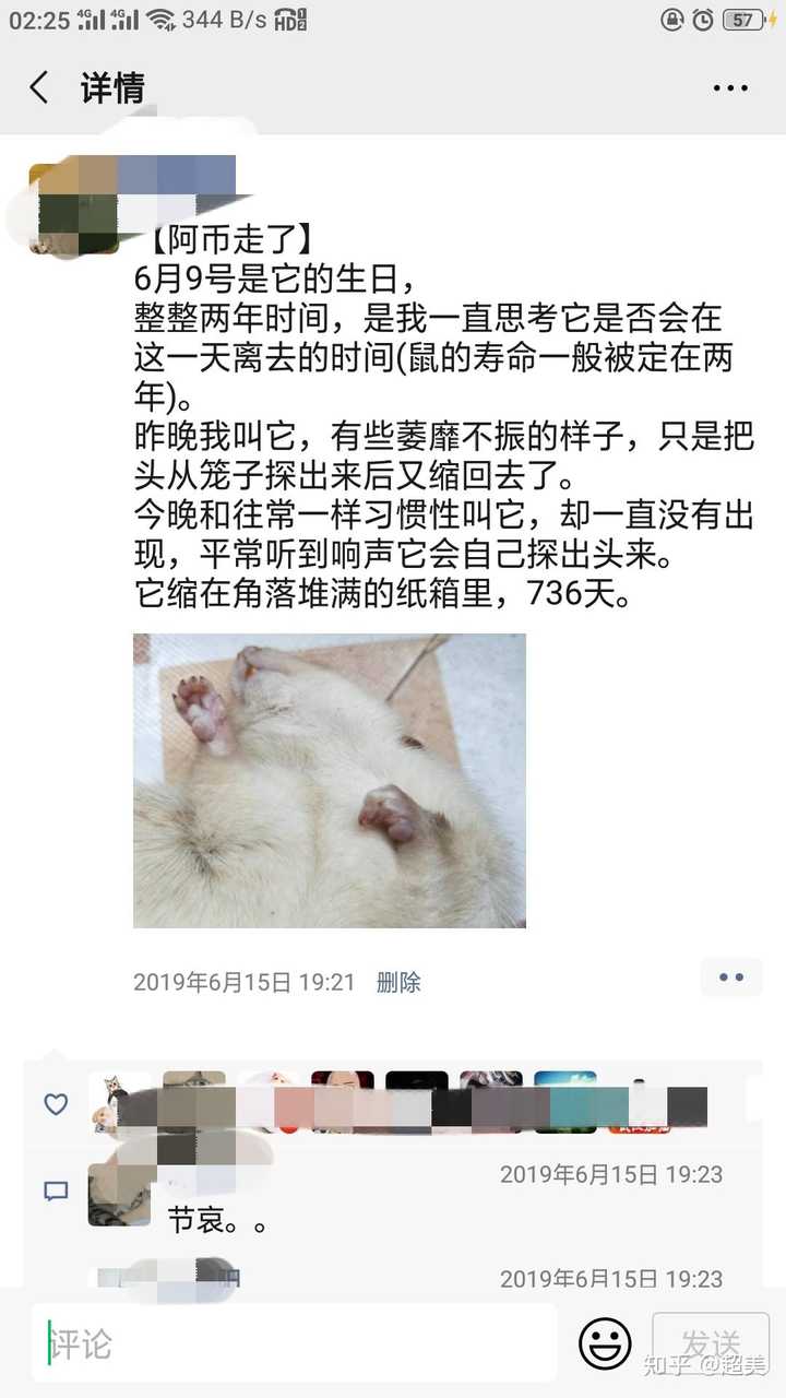 花枝鼠的自然死亡症状是什么样的?