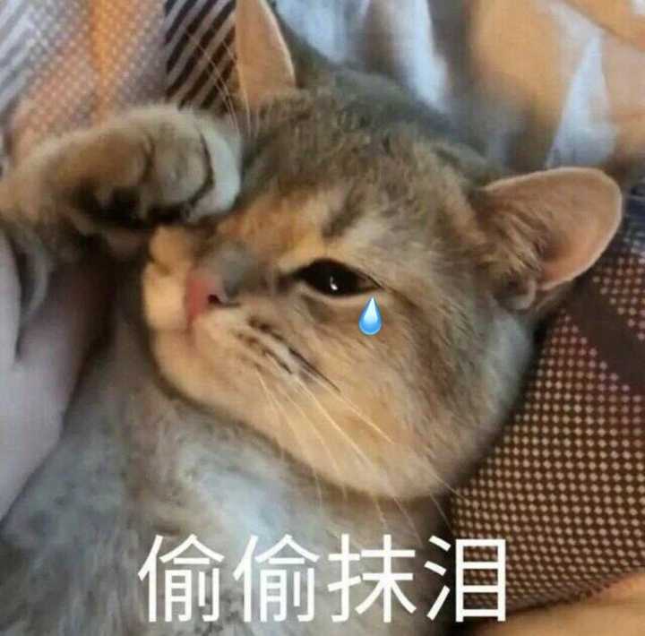 一个人看球真孤独,没办法有时候就这样.