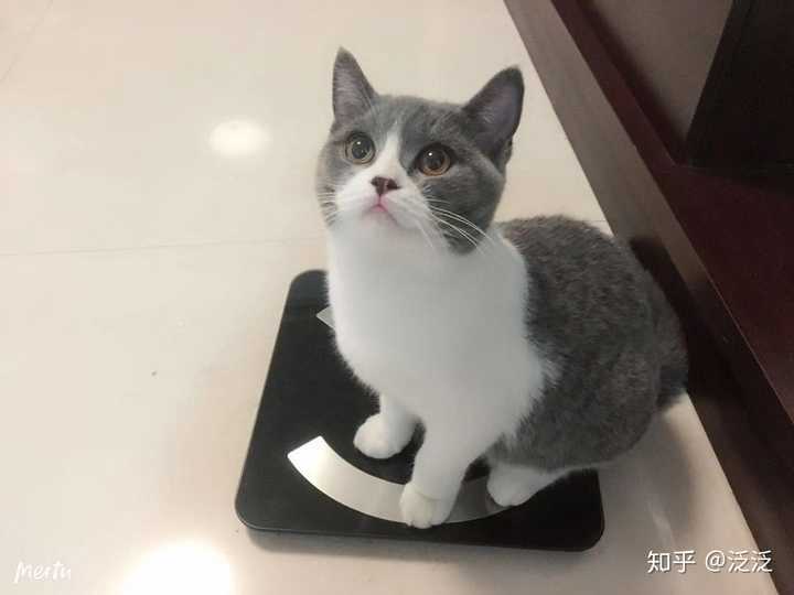 后面就各种营养的东西零食,罐头当然是少不了的啦,,,现在长大啦,附上