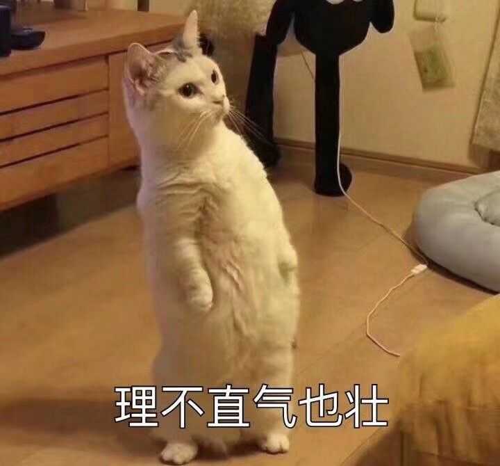 最恶心的现充是什么样的