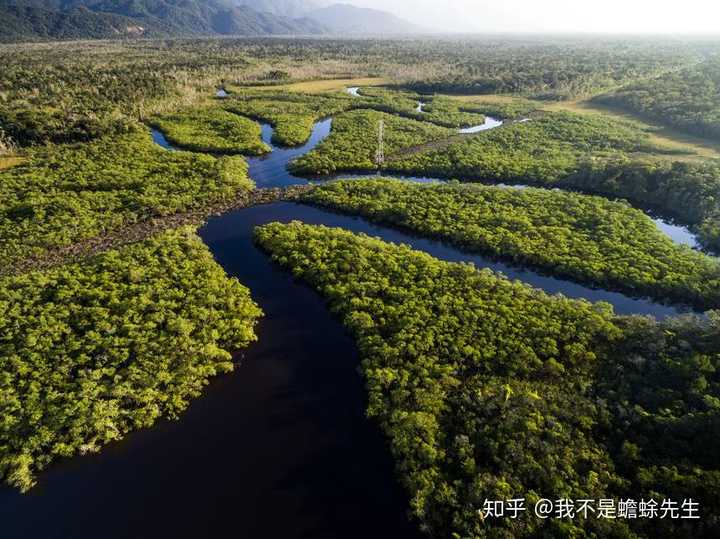 亚马孙河流量强劲,但流域环境恶劣,直至今日开发成本依然很高.