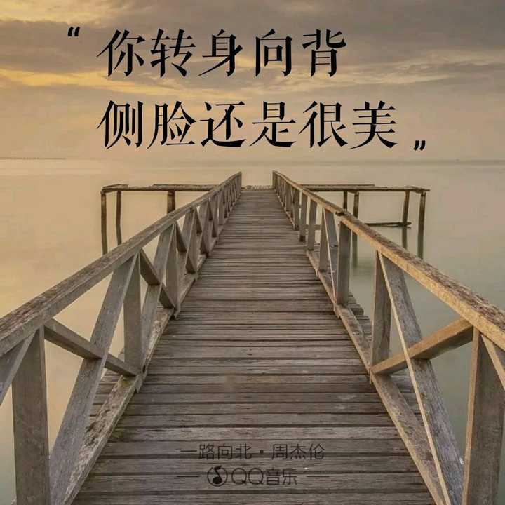你转身向背,侧脸还是很美--《一路向北》