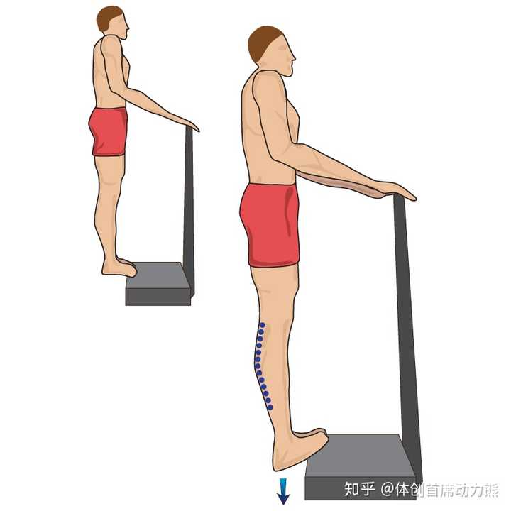 跳绳后怎样拉伸小腿肌肉?
